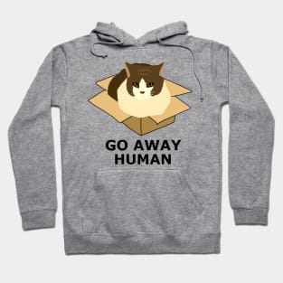 Go Away Human Funny Cat in a Box Hoodie